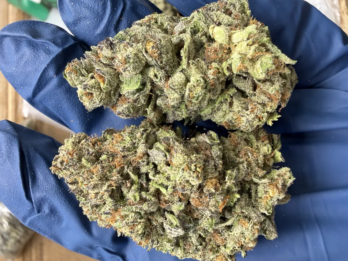 Kush Pie Flower
